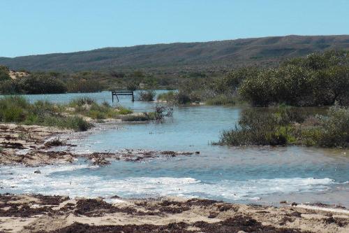 Yardie Creek